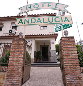 Cafetería con terraza